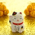 招き猫に関連する意外な知識5つ　実は形や色の違いにも意味があった？