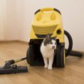 猫の毛対策におすすめな掃除機！選び方やおすすめ商品