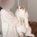 猫が『ウィッグを被った飼い主』を見た結果…まさかのリアクションが面白す…