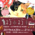 猫のチャリティーイベント「ネコ市ネコ座withピュリナ@島忠ホームズ草…