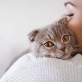 人間なら顔面蒼白？猫が普通にしている『ちょっと怖いこと』5つ