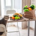 猫に与えない方がいい『消化しづらい食べ物』5選　消化不良が起きてい…
