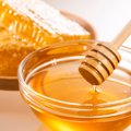 【獣医師監修】猫にはちみつを与えても大丈夫？栄養素の効果から与える際…