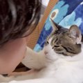 猫が大好きなパパに『キスを迫られた』結果…予想外の反応が面白すぎると6…