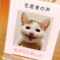 『生産者』愛猫のアクリルスタンドの前に置いてあったのは…とっても貴…