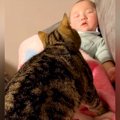 ソファで眠る赤ちゃん→ネコが『暖まるため』に近づくと…ずっと見ていたく…