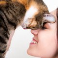 『たくさん愛情を注がれた猫』だけがみせる仕草や行動5選　あなたの愛…