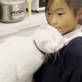 お姉ちゃんとラブラブすぎる猫…まるで『姉弟のような』尊い光景に癒やされ…