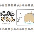 ねこよんコギわん【第13話】「ぞわぞわ。」