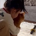 女の子に『ぎゅっ』と抱きしめられた猫→次の瞬間…幸せいっぱいな光景…