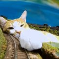 列車が走る先には…猫！？ジオラマとのコラボで見えた猫の新たな魅力が…