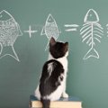 「猫アート」を見に行こう！猫好きを魅了する展示会情報