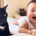生まれたときからずっと一緒の赤ちゃんと猫…本当の兄弟のように育った『2…