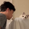 猫に『突然キス』してみた結果…思いもよらない結末に羨ましがる人続出…