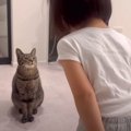 5歳の女の子が猫に『人間の挨拶』を教えたら…『まさかすぎる結果』に&…