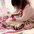 女の子が『猫を患者』にしてお医者さんごっこを始めた結果…思わず感動の『…