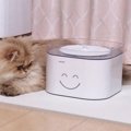 「新米」猫飼いさん必見！おすすめひみつ道具４つ