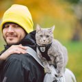 猫を『旅行に連れて行く』前に検討すべき注意点6つ　必要になる準備や負担…