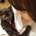 車の下で鳴く子猫…里親探しが一転して幸せな展開に♡