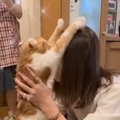 『3日ぶりに帰ってきたママを見て……』再会で見せた『猫の反応』に涙が…