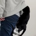 パパのパーカーの中に入ろうとする猫→次々と他の猫も集まってきて…まさか…
