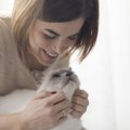 猫と飼い主の『共依存』に注意！陥ると危険な3つの理由と予防策