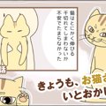 きょうも、お猫さまはいとをかし。【第40話】「知らなかったこと」