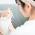 保護猫を迎える前の『トライアル期間』とは？確認すべき5つのポイント…