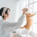 猫が大満足する『上手な遊ばせ方』7選　本能を刺激するテクニックや工夫を…