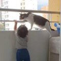 子守をする猫兄貴！パパに助けを求める仕草に激萌え♡