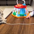 赤ちゃんが猫の前で『白い紐を持ってる』と思ったら…微笑ましすぎる瞬間に…