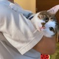 猫がパパに『赤ちゃん抱っこ』された結果…まさかの『堪能する様子』が…