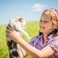 小さい子供がいると猫の里親になれない？その理由と解決法とは