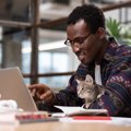 勤務内容は「猫のお世話」　英国の企業が風変わりな求人広告を出し話…