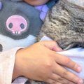『大事な存在』をぎゅっと抱きしめる女の子→『猫の様子』を見ると…素…