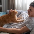 猫に『ふみふみ』されやすい人の共通点4つ♡そのときの猫の気持ちとは