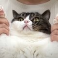 大嫌いな『爪切り』を察した猫→飼い主さんが近づいたら…思わずニヤけ…