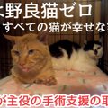 福岡、そして九州の『野良猫問題』根本からの解決を目指す取り組み