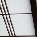 障子をきれいに貼り替えた翌朝、和室に向かうと…思わず笑ってしまう光景が…