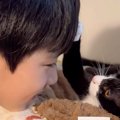 『ぼくがお兄ちゃんになる！』捨てられていた猫を家族に迎えた結果…現…