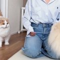犬カフェから帰ってきたら、『猫と犬』にバレたようで…思わず笑顔にな…