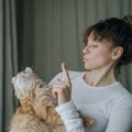 猫の『しつけ』を成功させるためのポイント4つ　心がけるべきことからNG対…