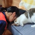 『お姉ちゃんのことが大好きな猫』がとった行動…尊すぎる愛情表現が40…