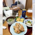 日に日に『ご飯をパクるスキル』がレベルアップしてきた猫…『巧妙な手口』…