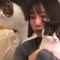 ホラー映画鑑賞！飼い主さんのそばにいてくれる猫さんたち