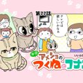 半分アメショのつくねとコナン【第77話】 「どれも欲しい」