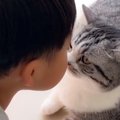 猫と二人の赤ちゃん撮ってみたら…まさかの『三角関係』が可愛すぎると…