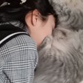 猫が心配で泣いていたお姉ちゃん…無事が確認できると→愛にあふれた光景に…