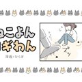 ねこよんコギわん【第43話】「ヒゲケース」