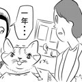 あなたならどうする？猫に寿命をわける話に涙が止まらない